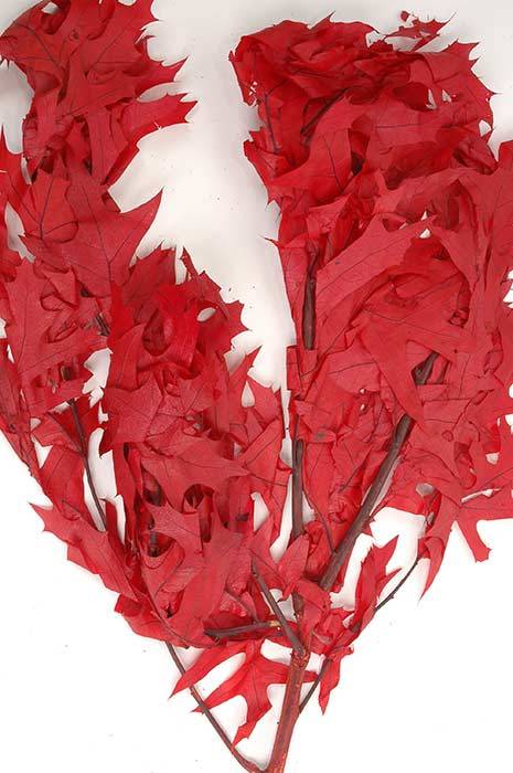 Transparent Oak Leaves 1lb Red