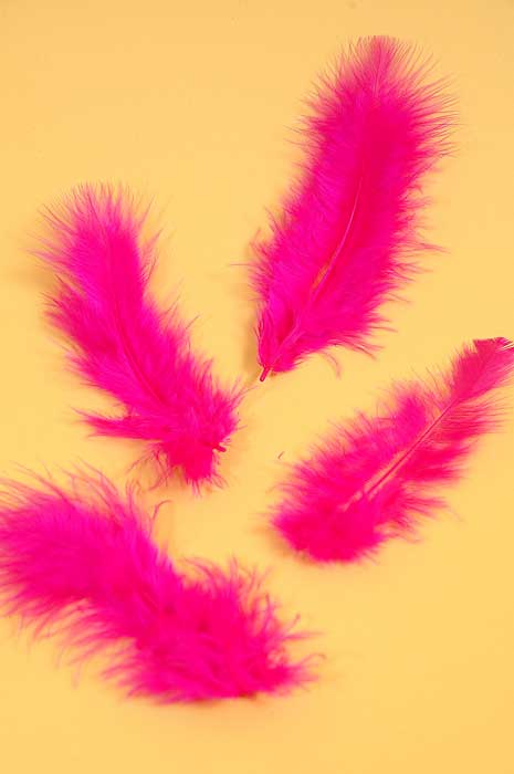 3.5&quot; Ostrich Feathers Hot Pink Pkg/100