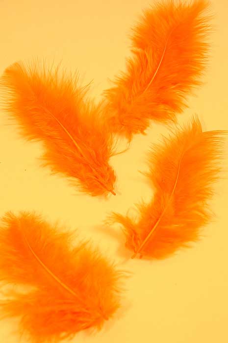 3.5&quot; Ostrich Feathers Orange Pkg/100