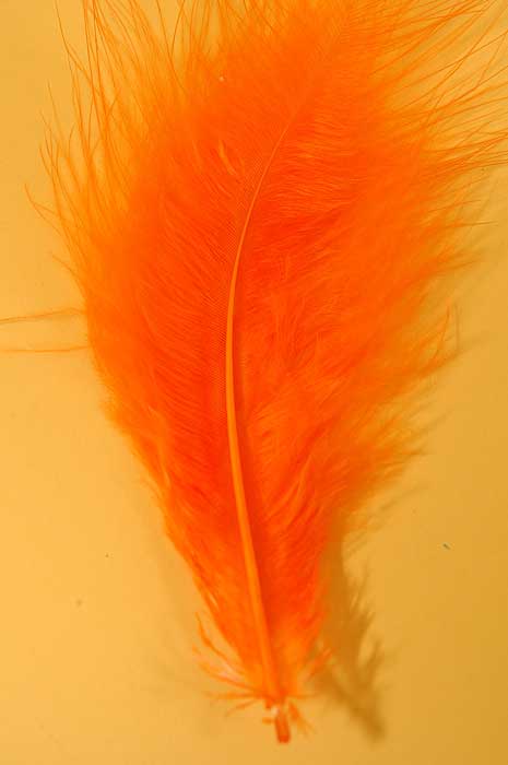 5" - 7" Ostrich Feather Orange Pkg/50