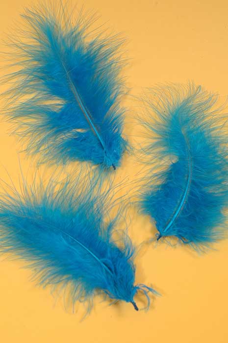 5&quot; - 7&quot; Ostrich Feather Turquise Pkg/50