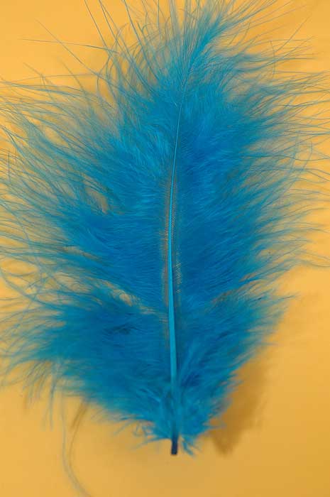 5&quot; - 7&quot; Ostrich Feather Turquise Pkg/50