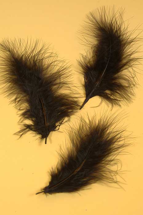 5&quot; - 7&quot; Ostrich Feather Black Pkg/50