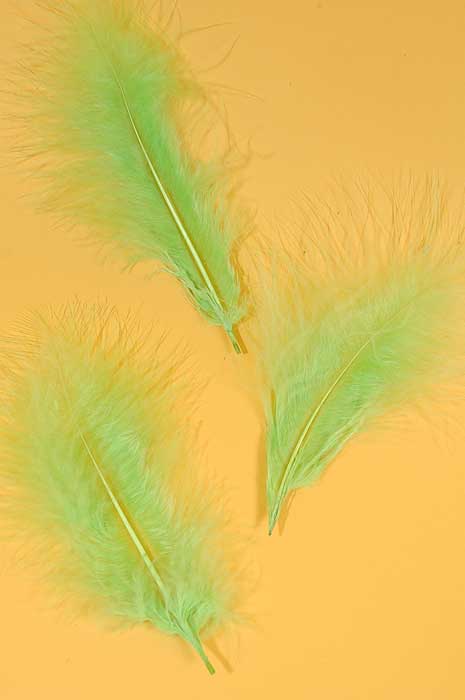5" - 7" Ostrich Feather Apple Green Pkg/50