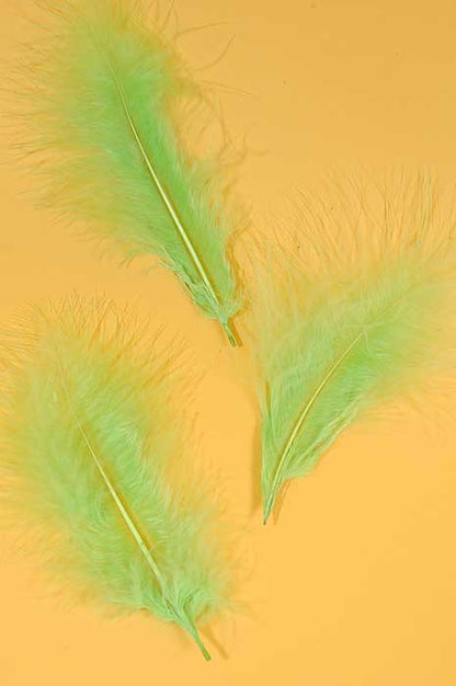 5" - 7" Ostrich Feather Apple Green Pkg/50