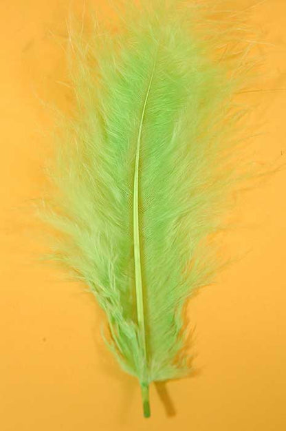 5" - 7" Ostrich Feather Apple Green Pkg/50
