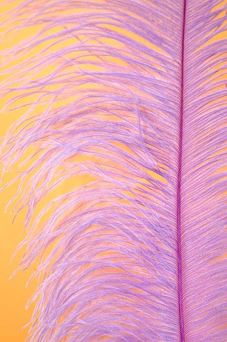 18"- 22" Single Ostrich Feather Lavender