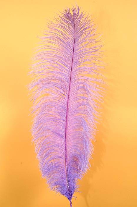 18"-22" Ostrich Feather Lavender Pkg/12