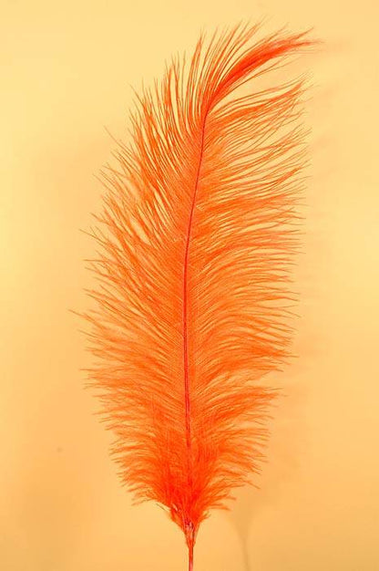18"-22" Ostrich Feather Orange Pkg/12
