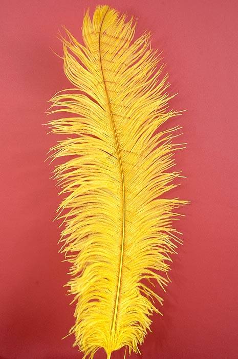 14"-16" Ostrich Feather Yellow Pkg/12