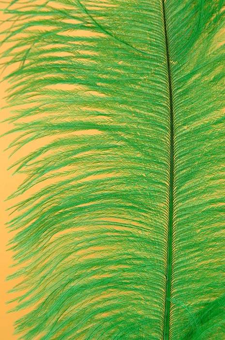 14"-16" Ostrich Feather Kelly Green Pkg/12