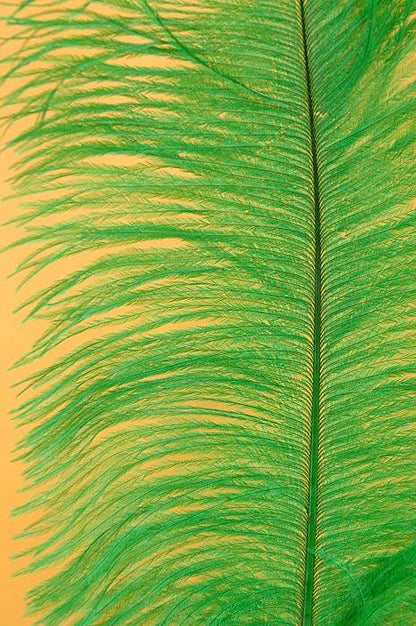 14"-16" Ostrich Feather Kelly Green Pkg/12
