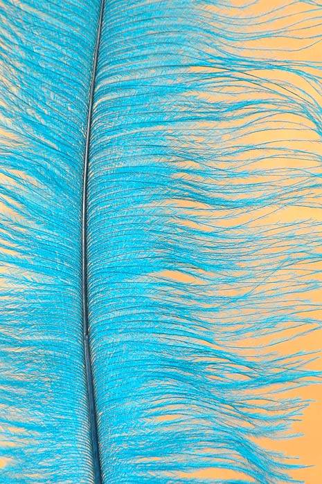 14&quot;-16&quot; Ostrich Feather Turquoise Pkg/12