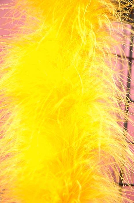 72" Feather Marabou Golden Ea