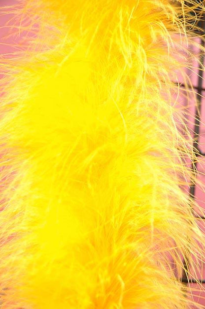 72" Feather Marabou Golden Ea
