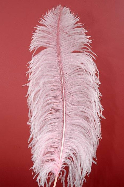 22"-26" Ostrich Plum Pink Pkg/6