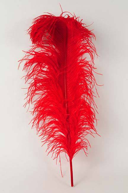 22"-26" Ostrich Plume Red Pkg/6