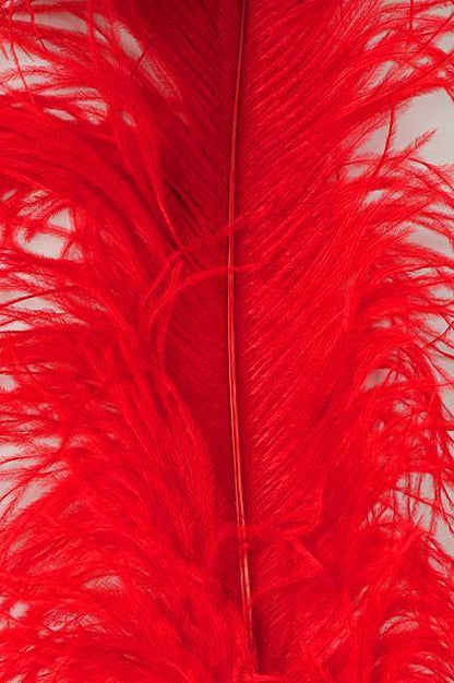 22"-26" Ostrich Plume Red Pkg/6