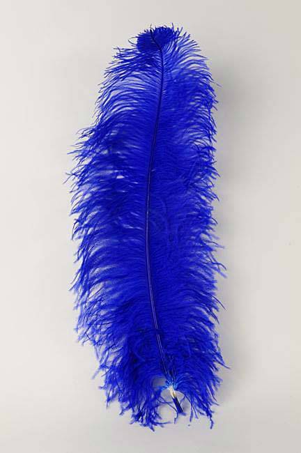 22"-26" Ostrich Plum Royal Blue Pkg/6