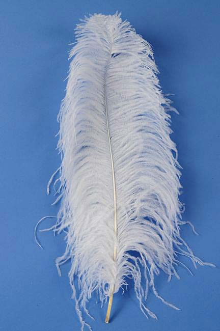 22&quot;-26&quot; Ostrich Plum White Pkg/6