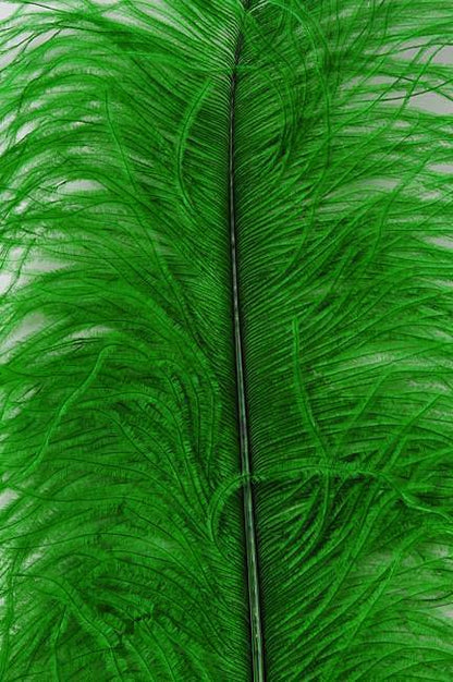 22"-26" Ostrich Plum Kelly Green Pkg/6