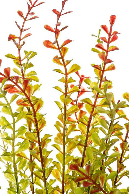 22&quot; Mini Leaves Bush Brown/green