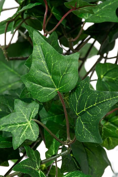 23" English Ivy Bush Green