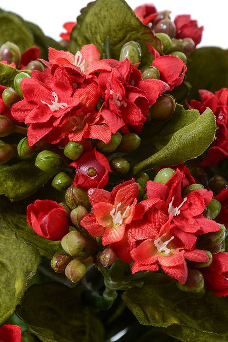 9&quot; Mini Silk Kalanchoe Bush Red