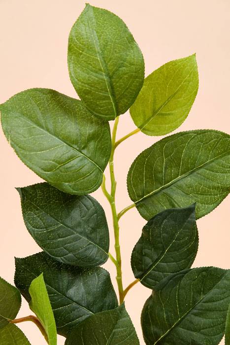 25.5" Lemon Leaf Spray Green