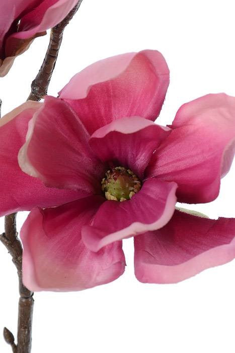 20" Silk Magnolia Spray Rose