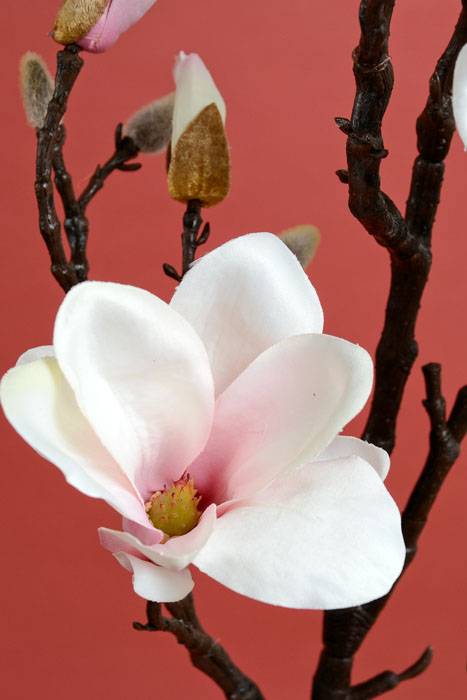 46" Magnolia Spray Pink