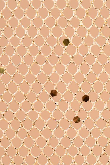 19" X 10yds Metallic Mesh W/glitter Gold