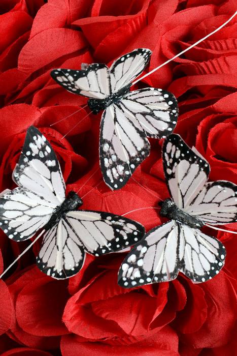 3&quot; Artificial Butterfly Black/white Pkg/12
