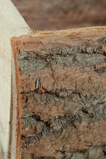 8" X 5.5" Wooden Log Box Natural