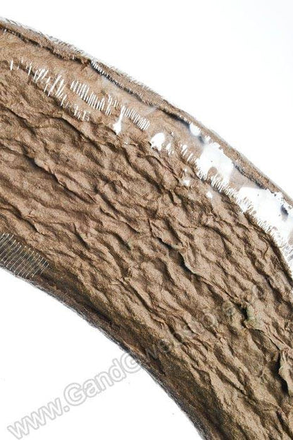 22" Wreath Round Shape Oasis Ea