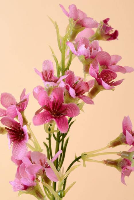 27&quot; Silk Waxflower Spray Mauve/pink