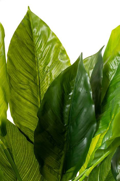 34" Ptd. Pu Nat Touch Spathiphylum Green