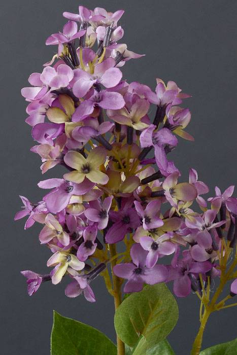 28.5&quot; Silk English Lilac Spray Lavender/Two Toned