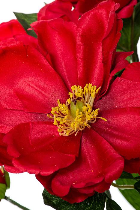 21" Silk Magnolia Bush Red