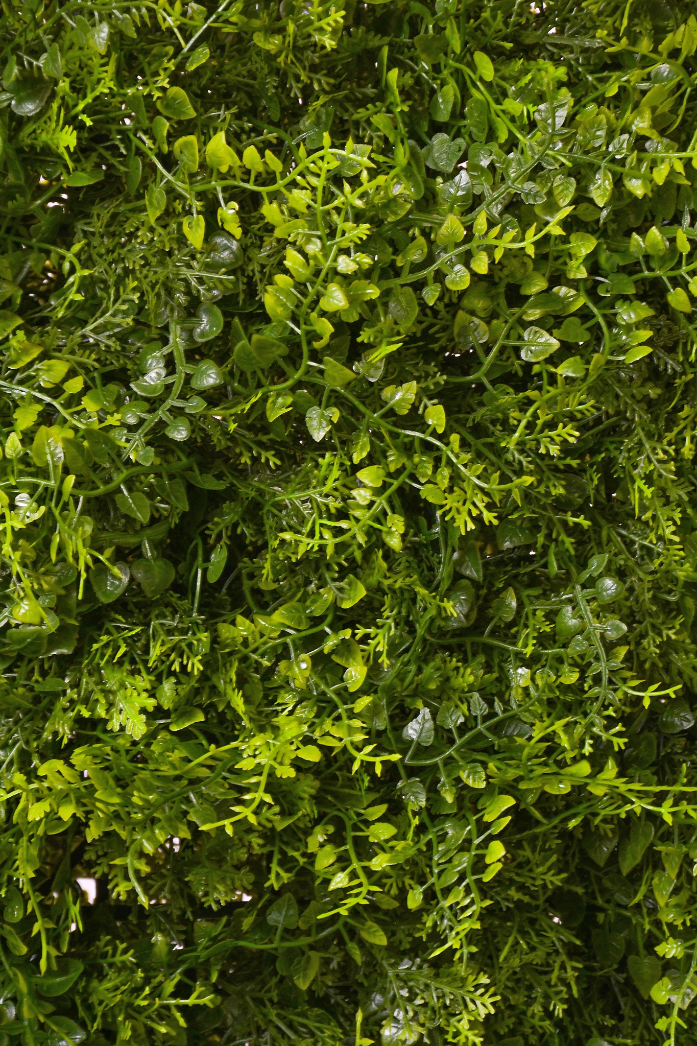 20 X 20"  Uv Mix Fern Mat Green