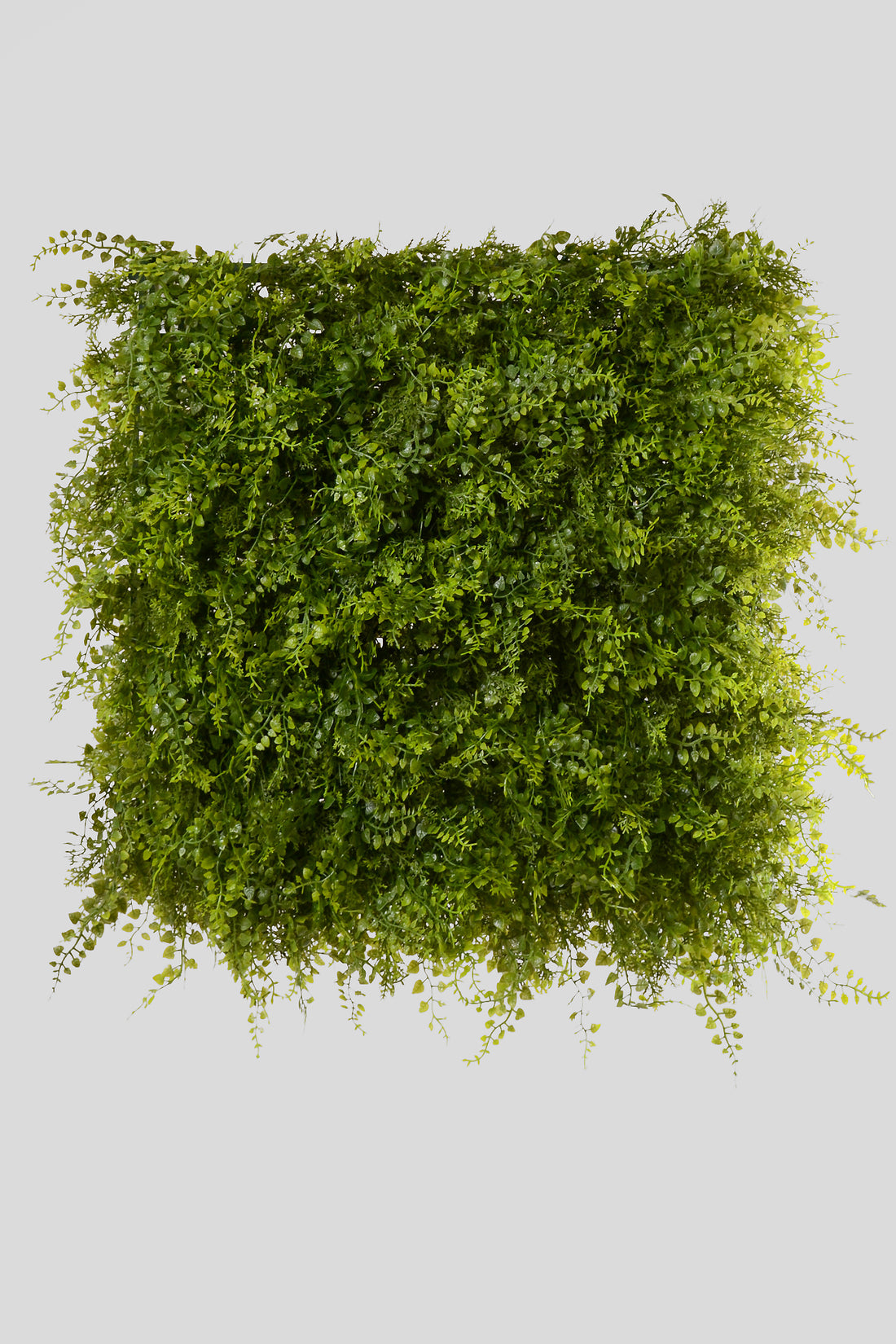 20 X 20"  Uv Mix Fern Mat Green