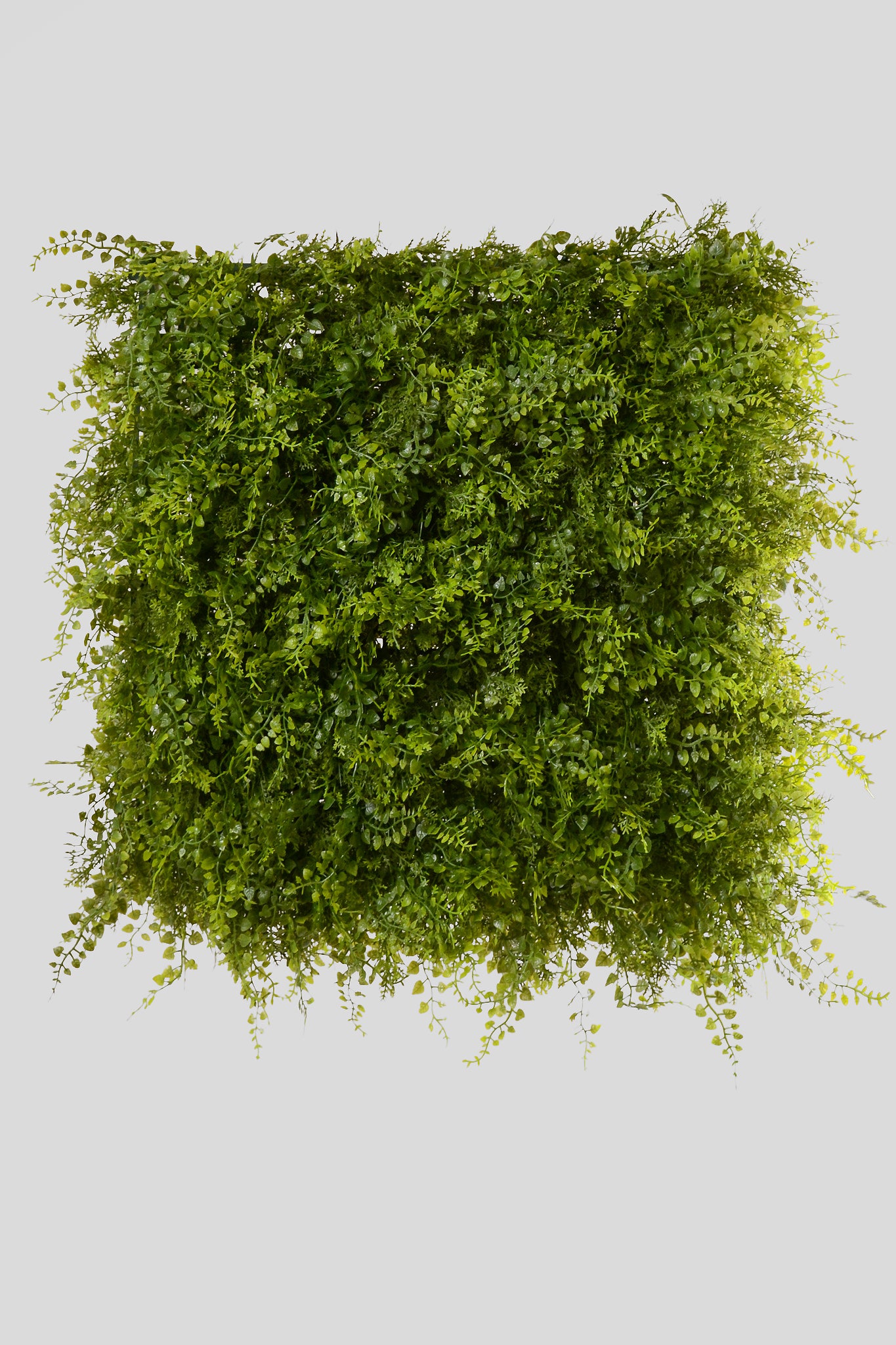 20 X 20"  Uv Mix Fern Mat Green
