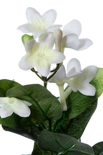 22" Stephanotis Spray White