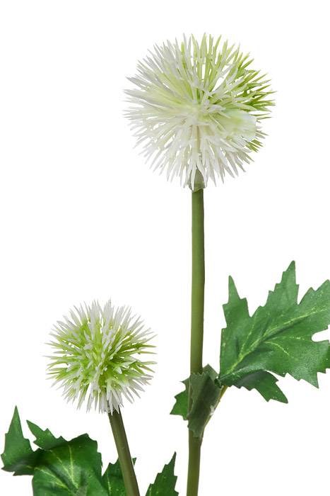 28.5&quot; Globe Thistle Spray White