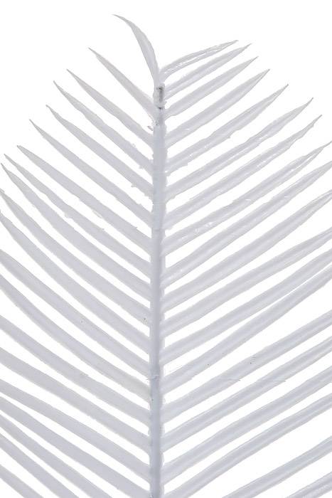 6" Cycus Leaves White Bx/144