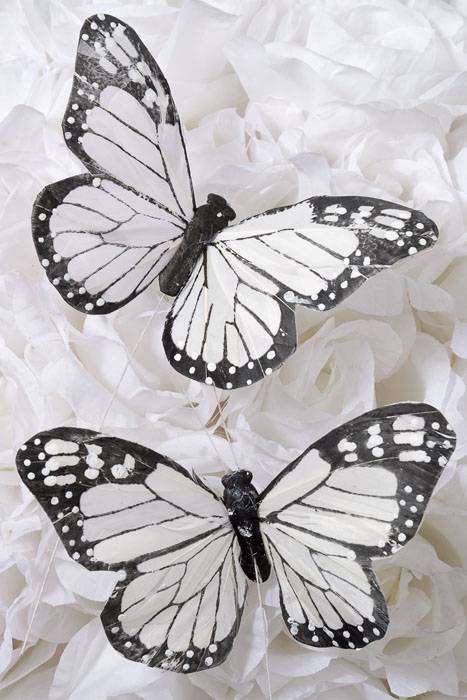 6pc Feather Fake Butterfly Wedding Photography Black and White