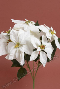 20" VELVET POINSETTIA BUSH WHITE