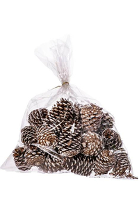 3 - 4"  MEDIUM PINE CONES