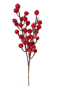 10" RED BERRY PICK RED PKG/6