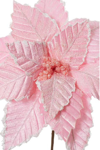 20" SUGARED POINSETTIA STEM PINK